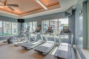 A gym with treadmills, elliptical machines, and a fan.